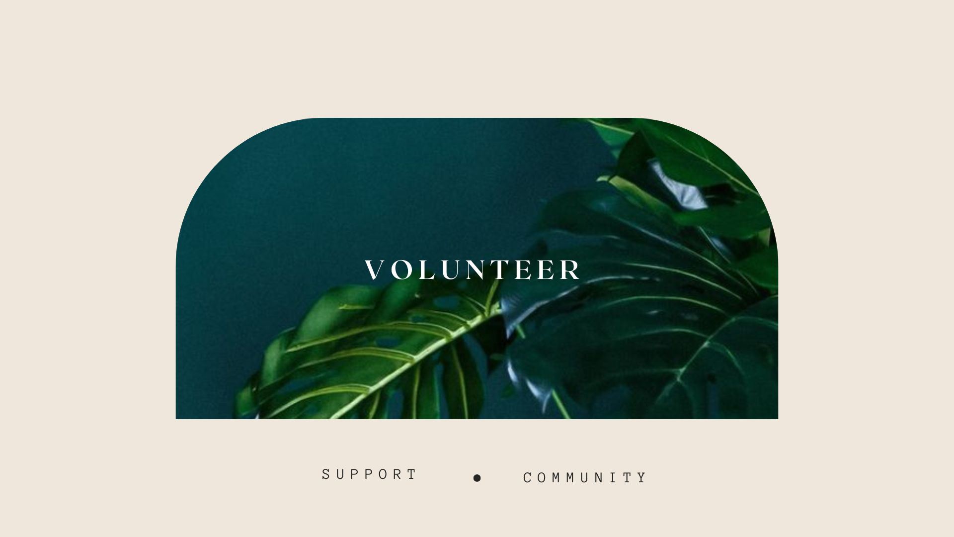Volunteer.  Support. community.  Image of plants against green wall.